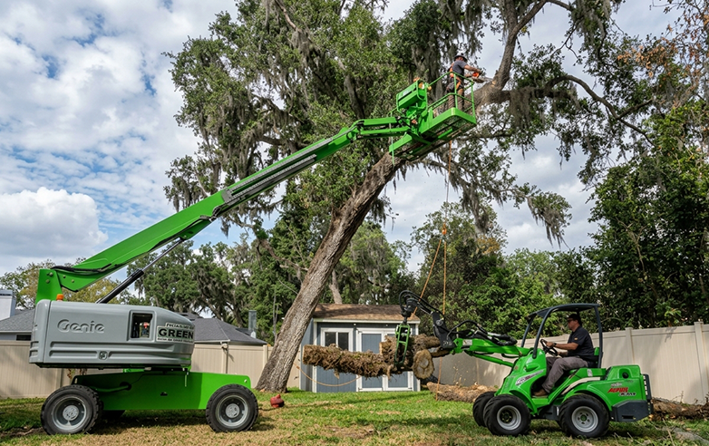 Professional Tree Services in Key Largo, FL